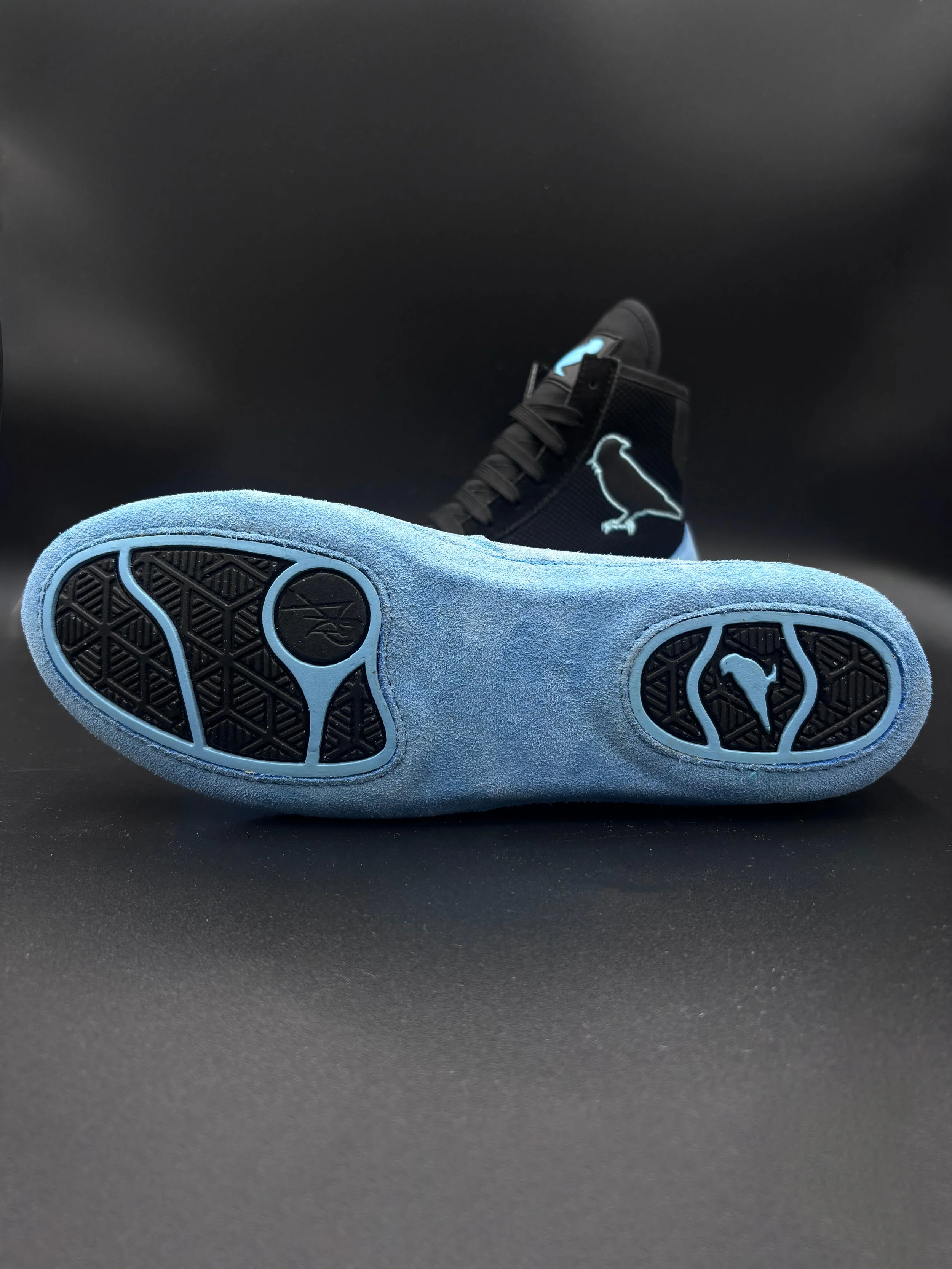 black and blue 2.jpg