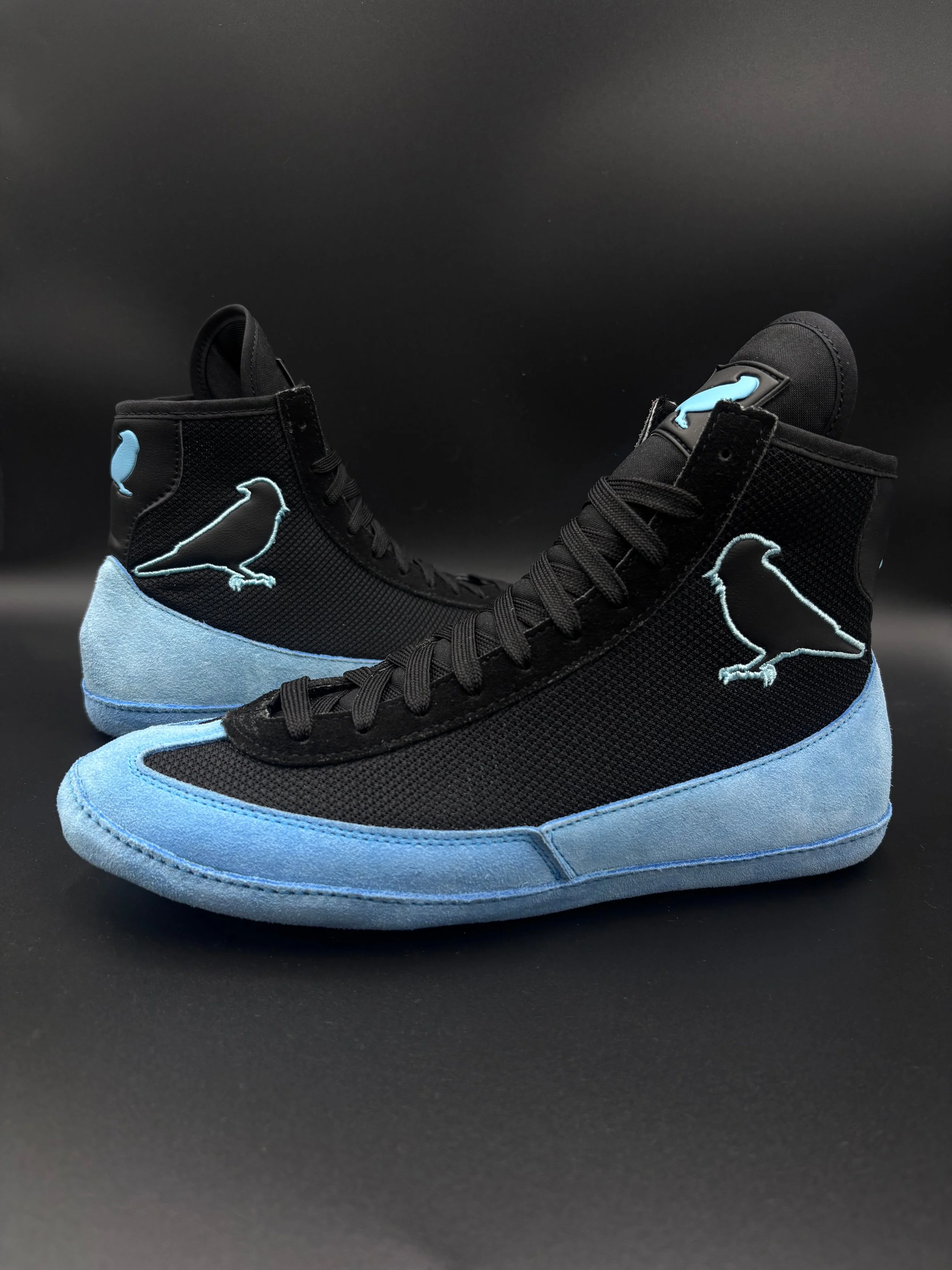 black and blue 1.jpg