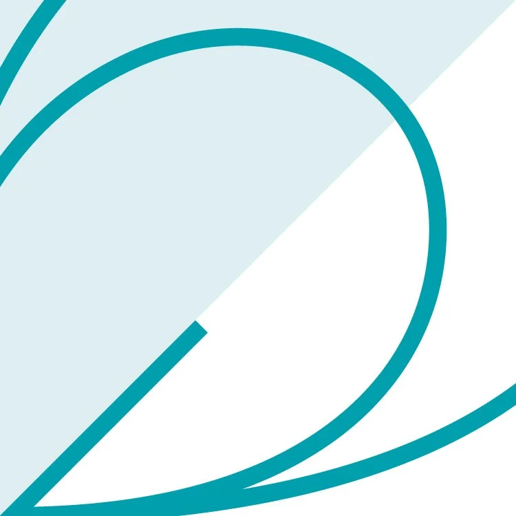 Resources — The Preclusion Project