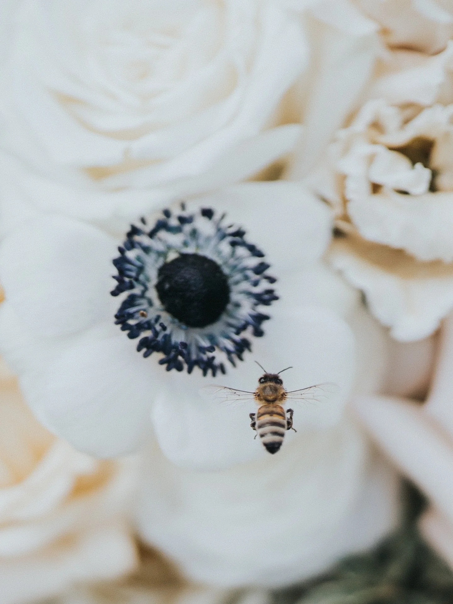 Plot twist: the best detail shot (IMO) of the day wasn&rsquo;t planned 

You spend months choosing every piece&hellip;
the florals, the cake, the textures, the tiny in-between details&hellip;

and then something completely unexpected shows up
and bec