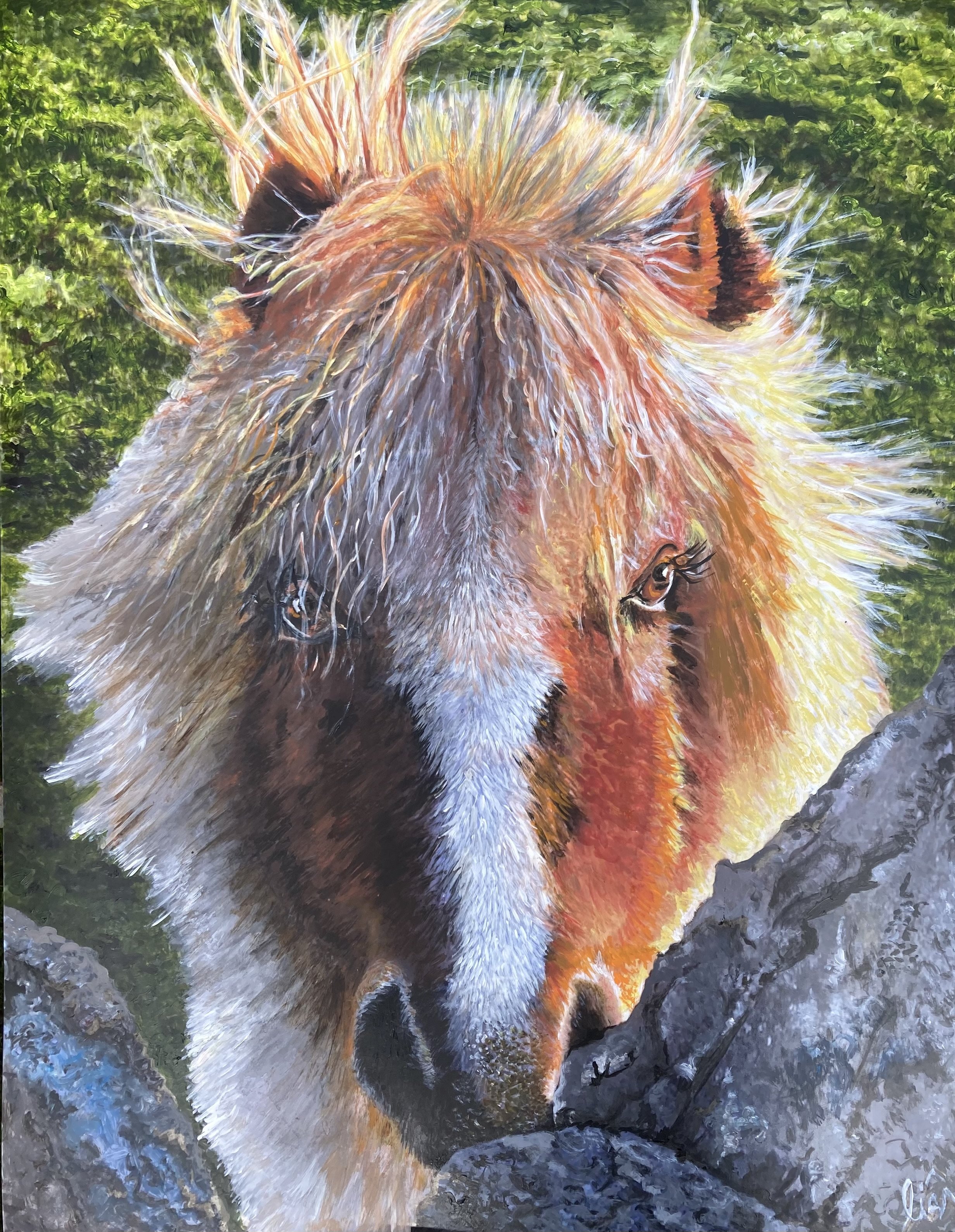 marshside pony.jpg