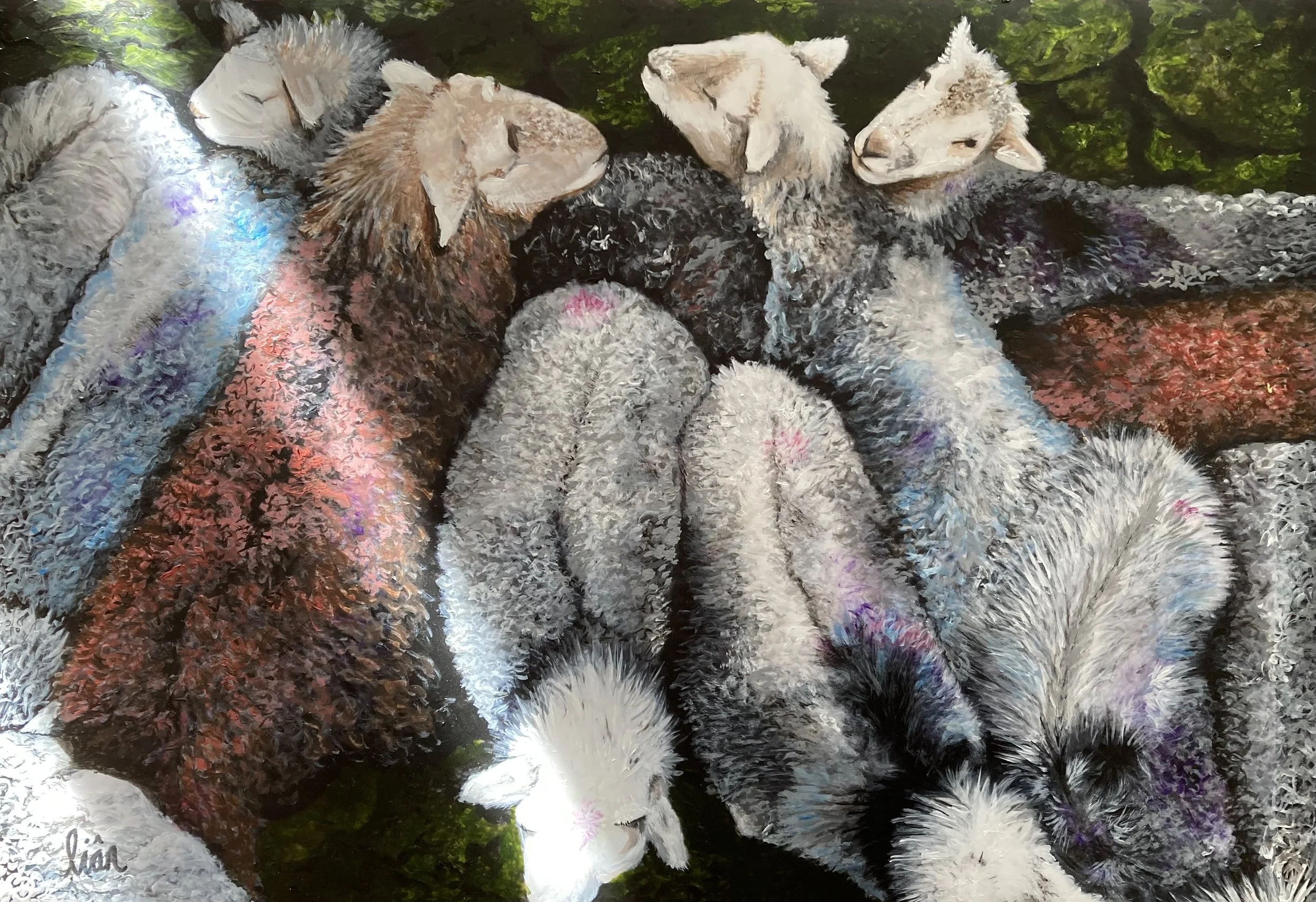 herdies with light.jpg