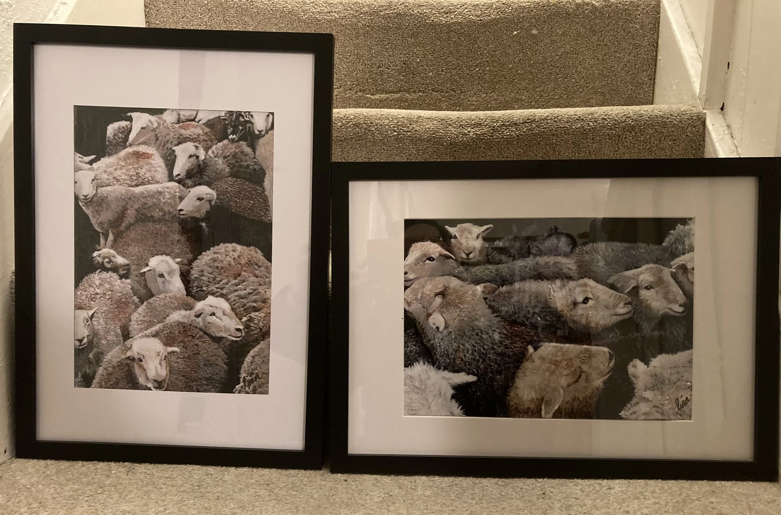 Herdies framed.jpg