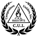 section-title-shape.png
