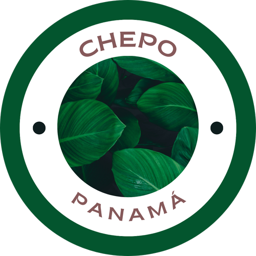 Municipio de Chepo — Munis.pa