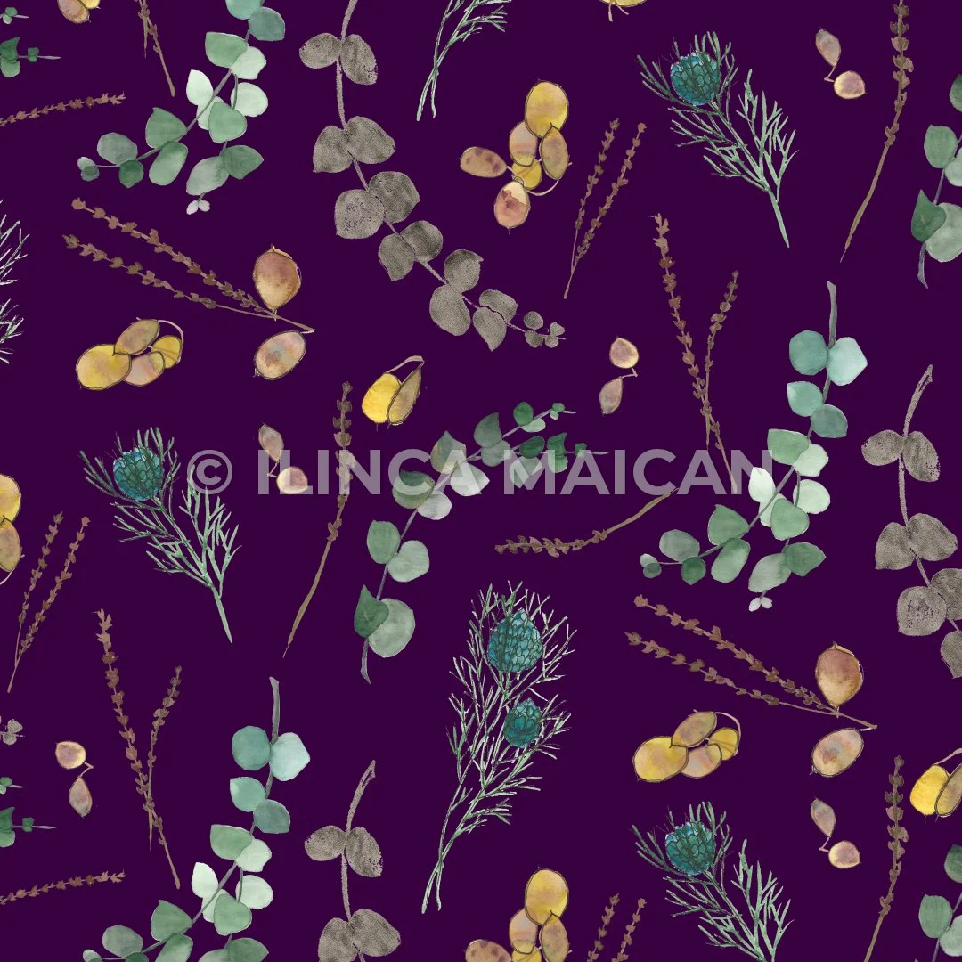 thistles-herbs-purple-support.jpg