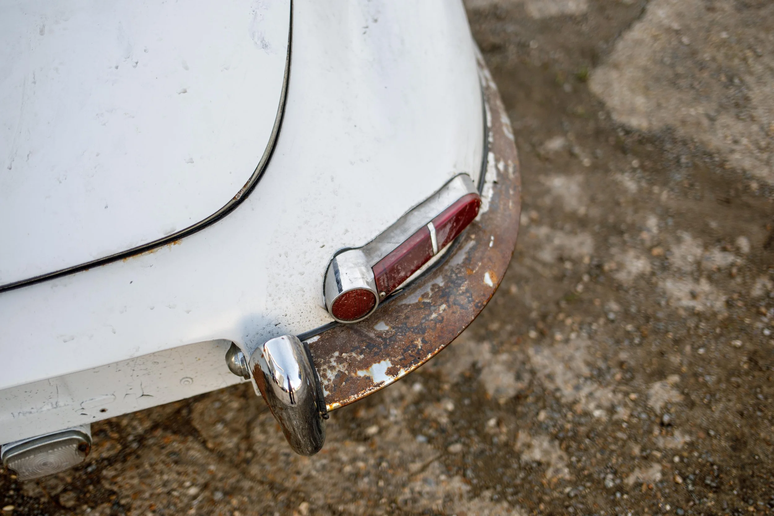 B93A8151-2.jpg