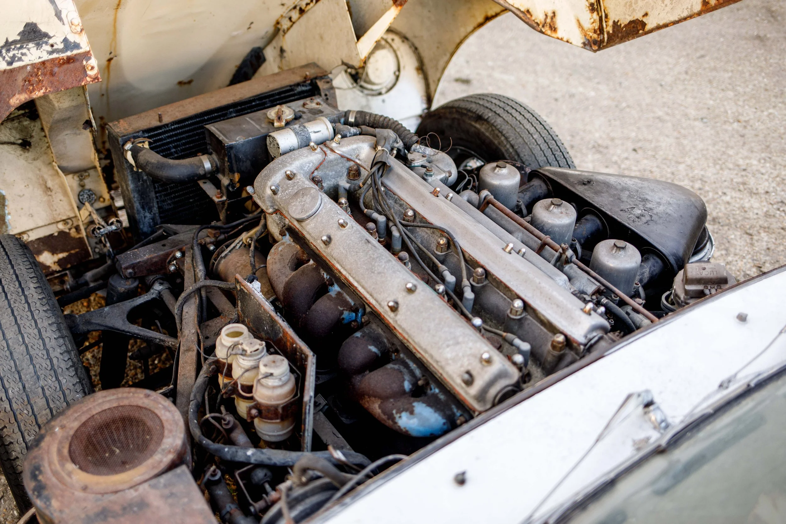 B93A8166-2.jpg
