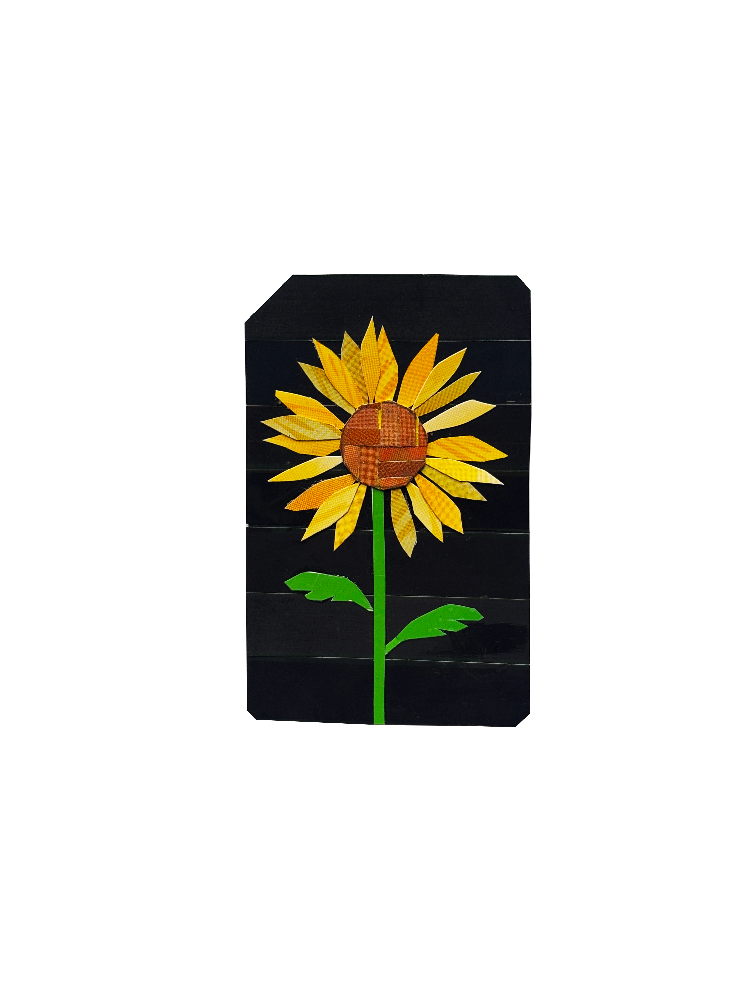 IMG_9636.png
