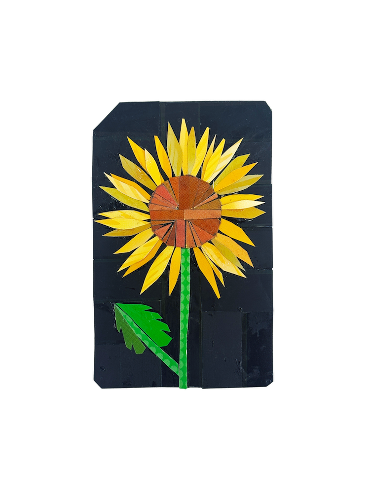 Sunflower 1_edit.png