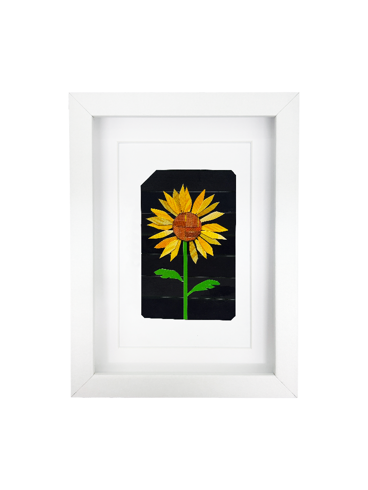sunflower2.png