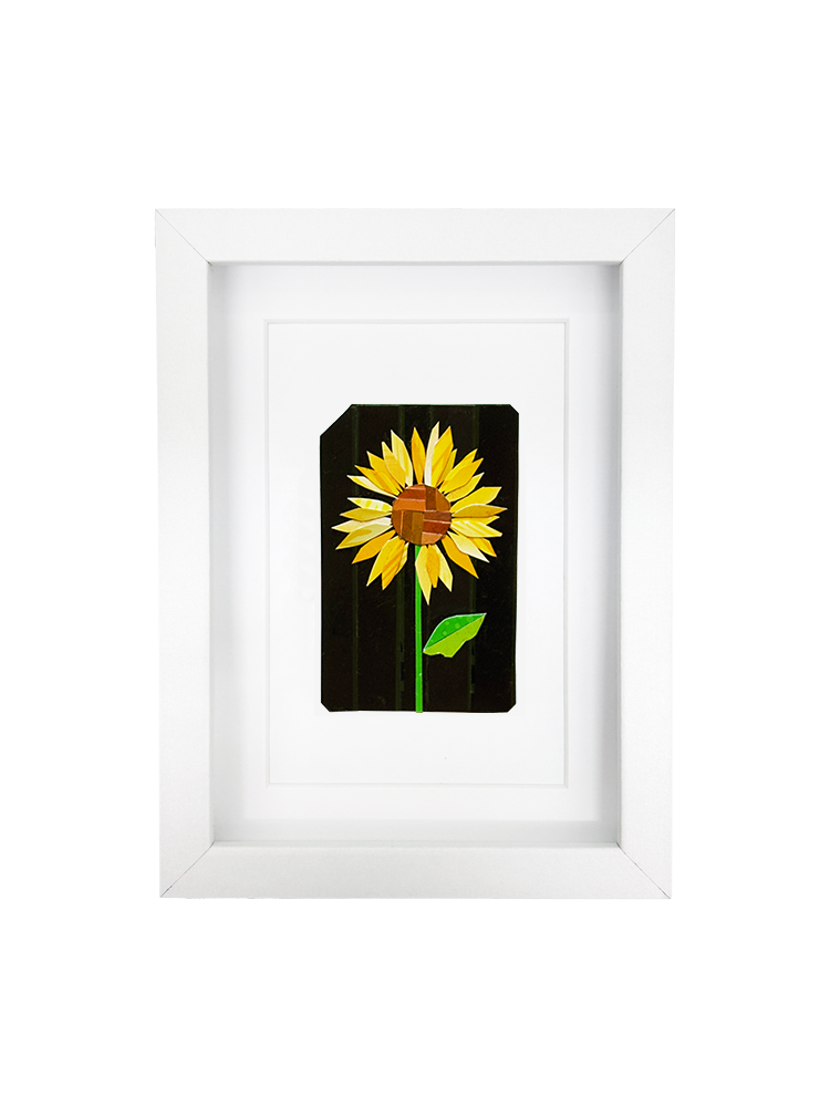 Sunflower.png
