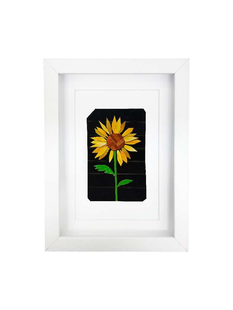 sunflower1.png