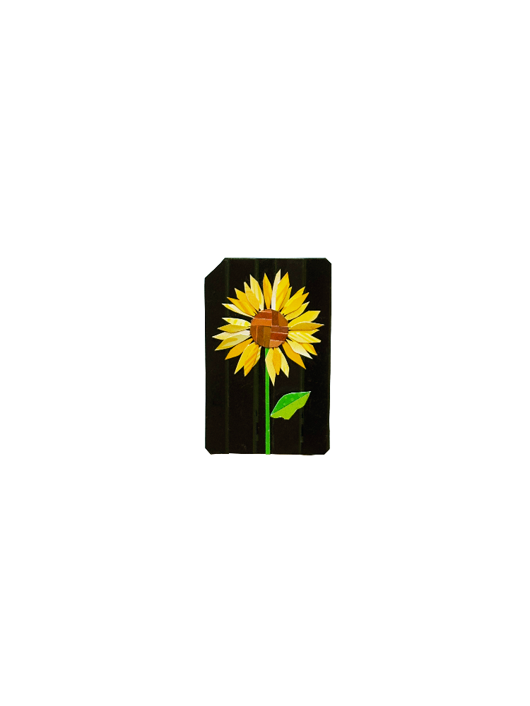 IMG_2134.png