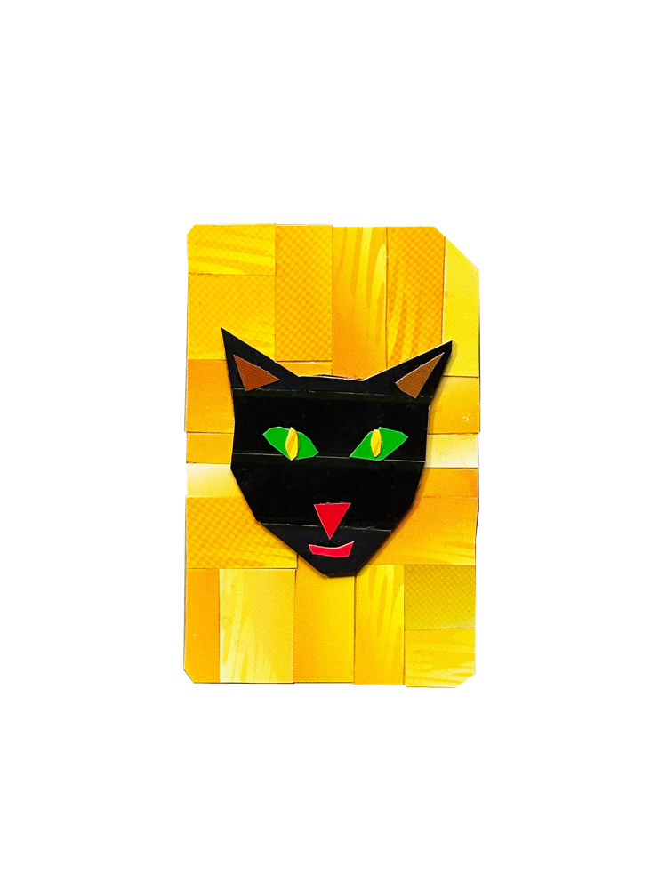 IMG_5005.png