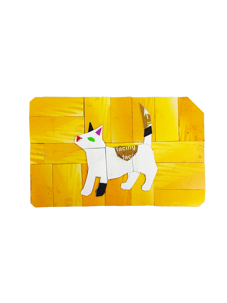 Cat 5.png