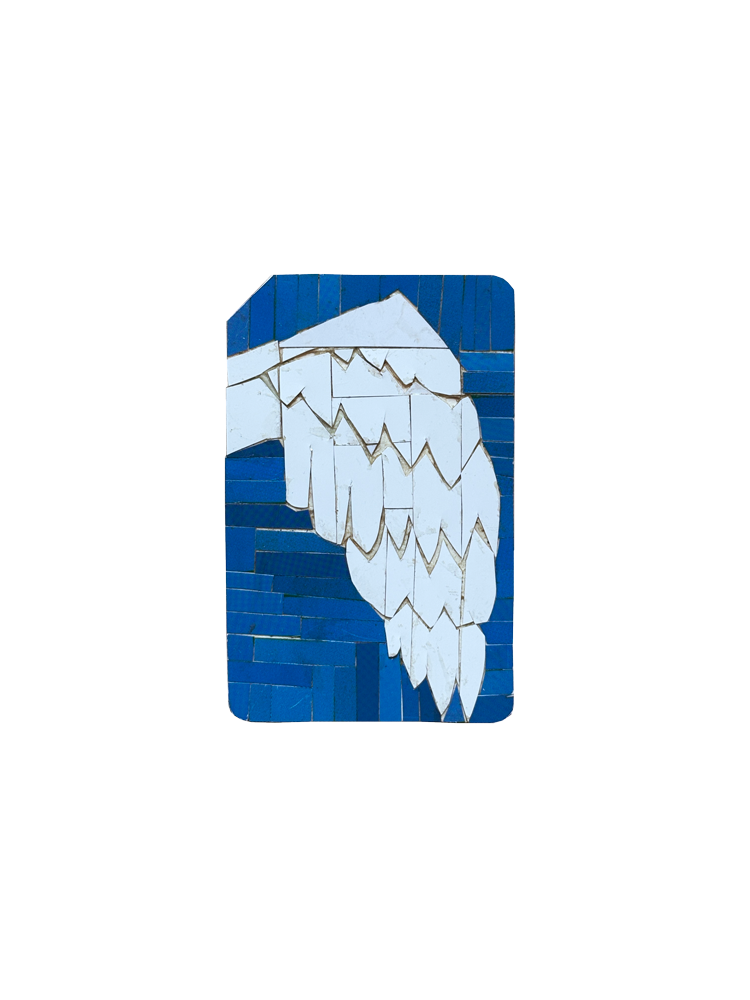 IMG_9454.png