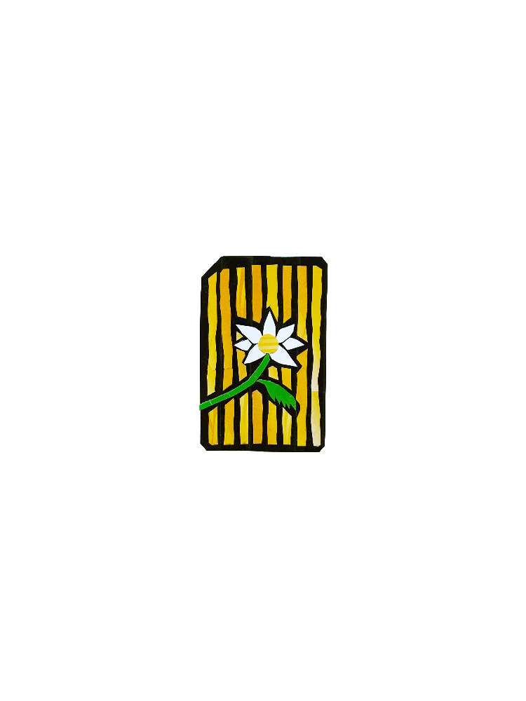 IMG_2133.png