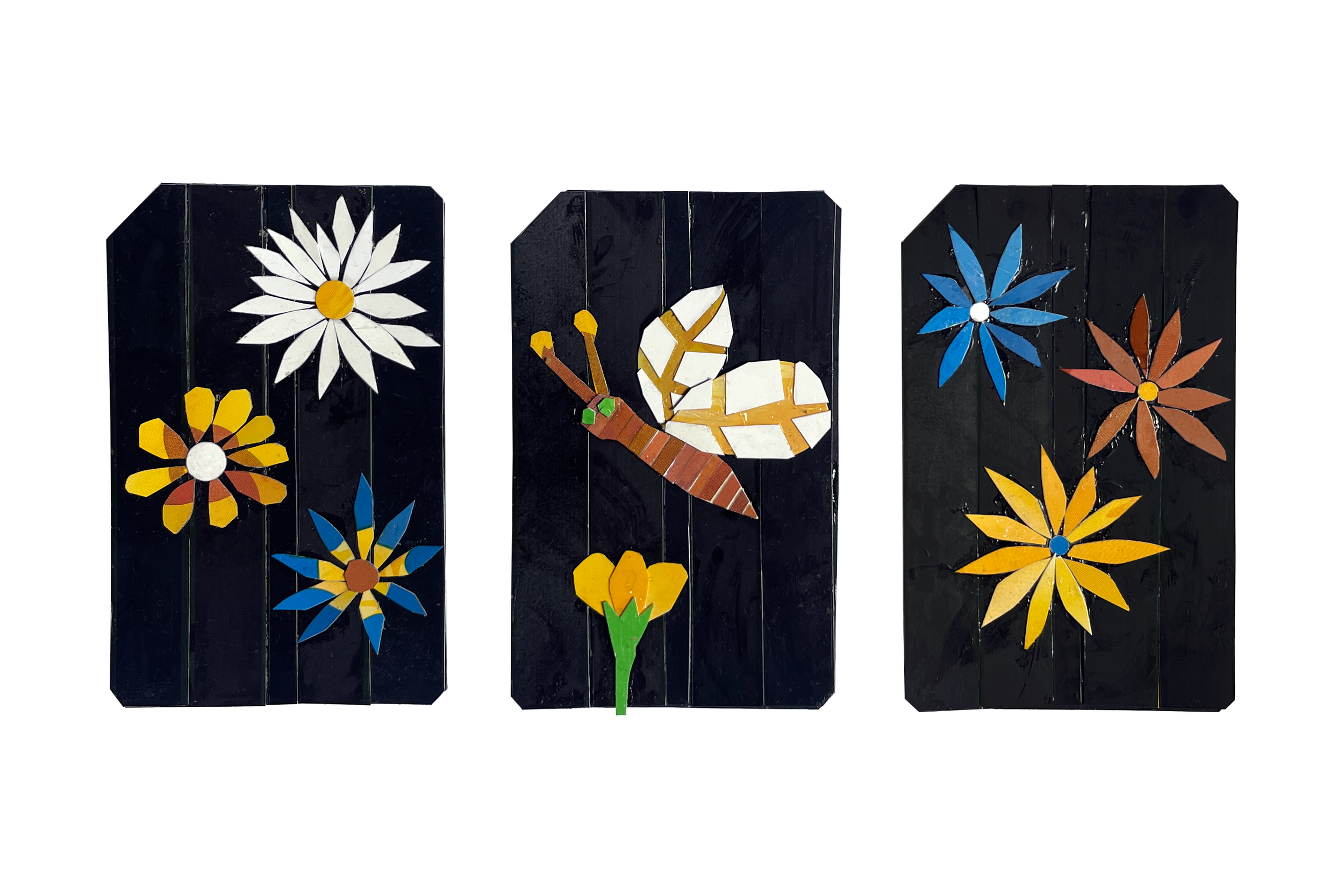 butterfly_4x6.png