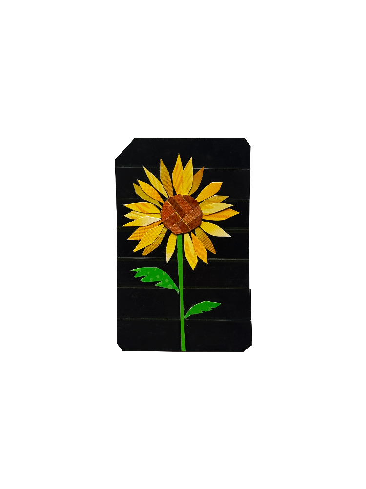 IMG_9635.png