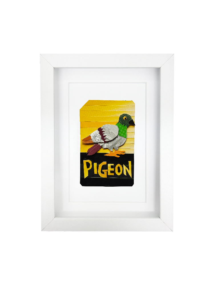 pigeon.png