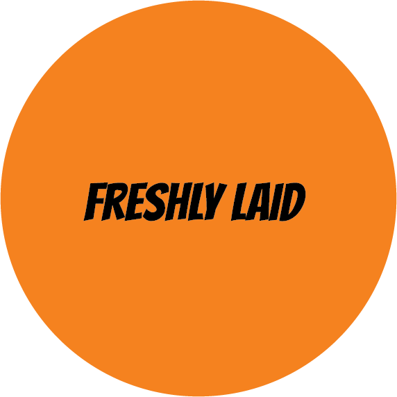 freshly laid