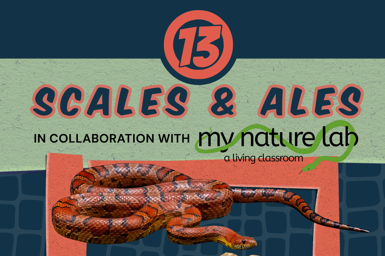 scales and Ales