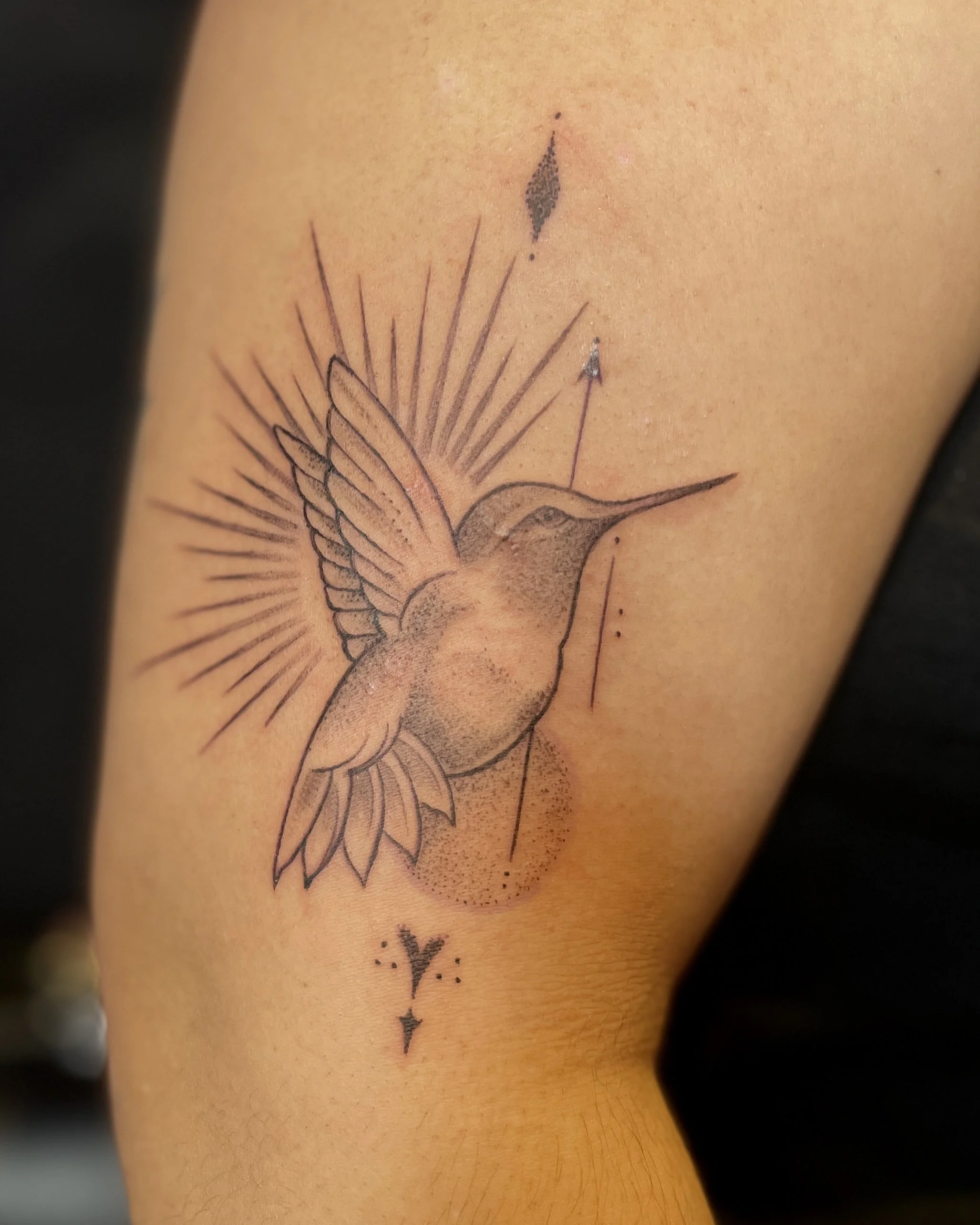 black and gray fineline hummingbird tattoo on arm pretty delicate sacred geo accents