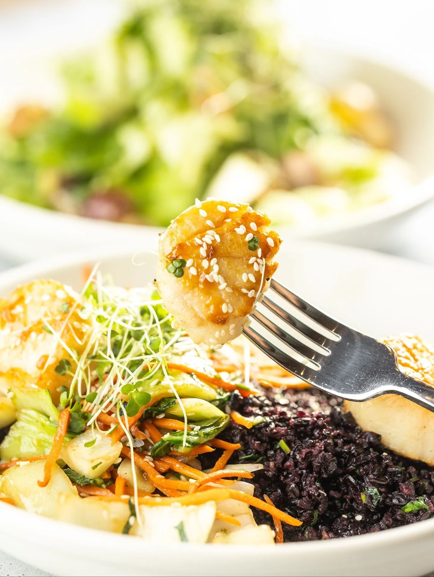 Seared scallops with black rice and baby bok choy 🥬 

One of our favorites to bring back each winter✨ Keep an eye out for scallops returning to the Dive menu this December.