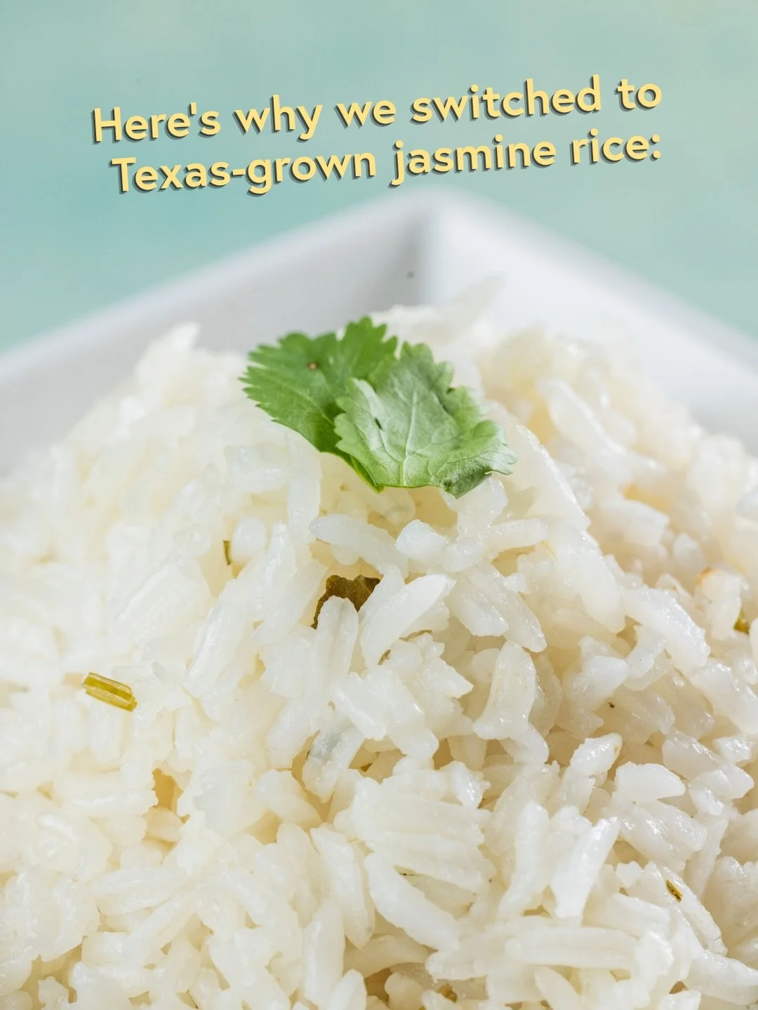 From a Texas farm to your plate at Dive 🌾 We made the switch to Texas-grown jasmine rice from @honestlytexasrice , and there&rsquo;s a lot to feel good about where it comes from. Swipe to meet the rice behind your favorite Dive dishes.

&bull;
&bull