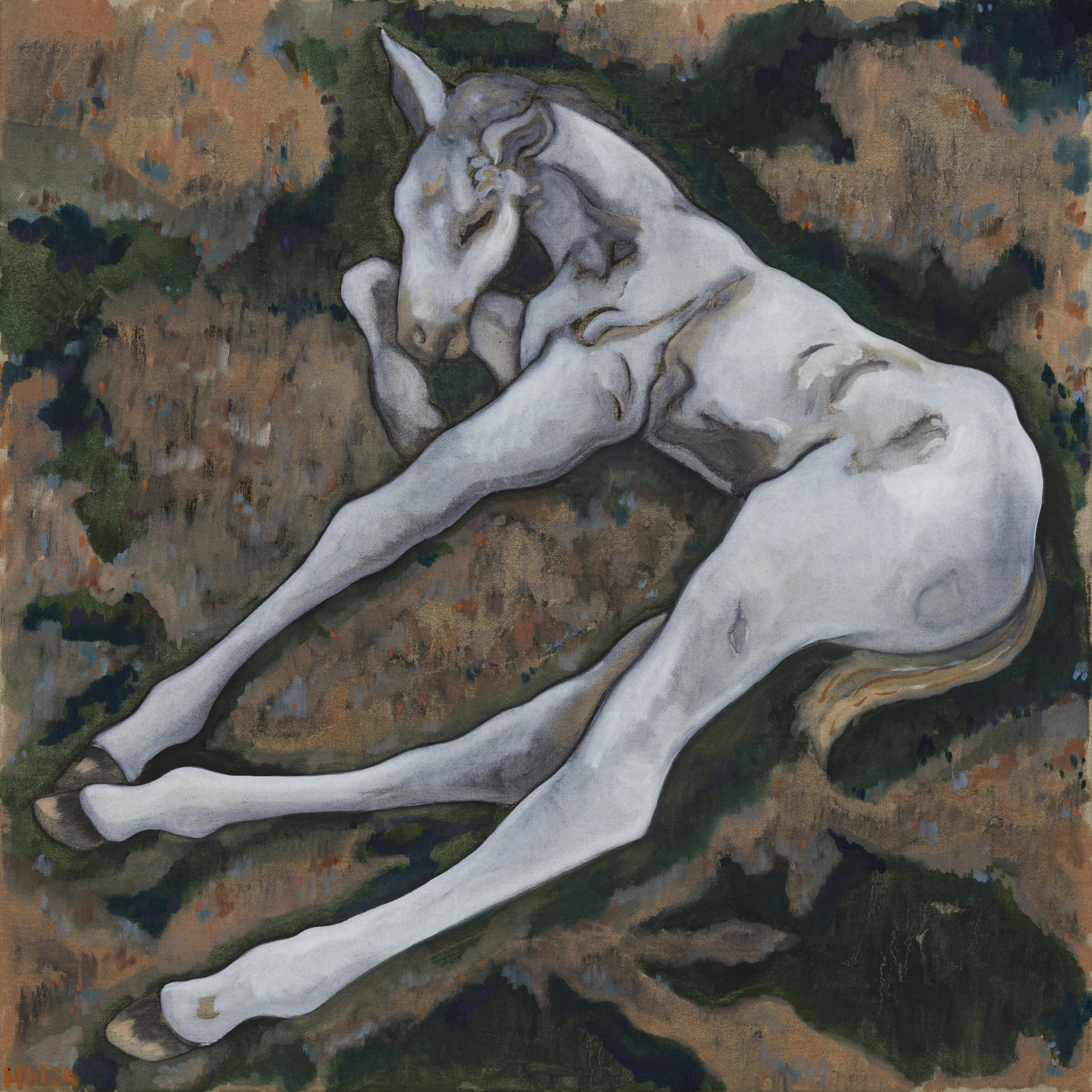 Foal Resting 2024 100x100cm.jpg