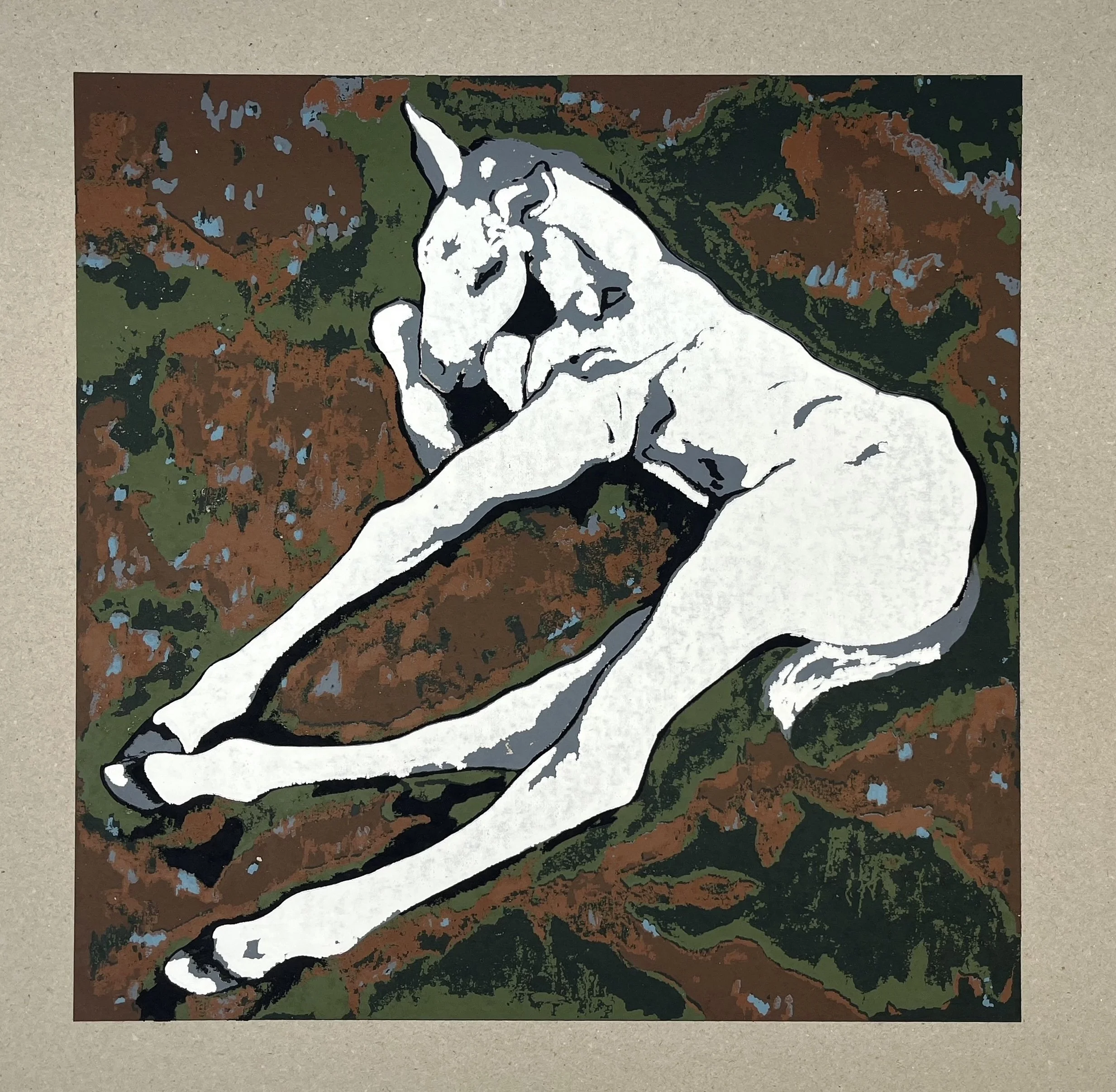 14. Resting Foal 45x64cm 2025.jpg