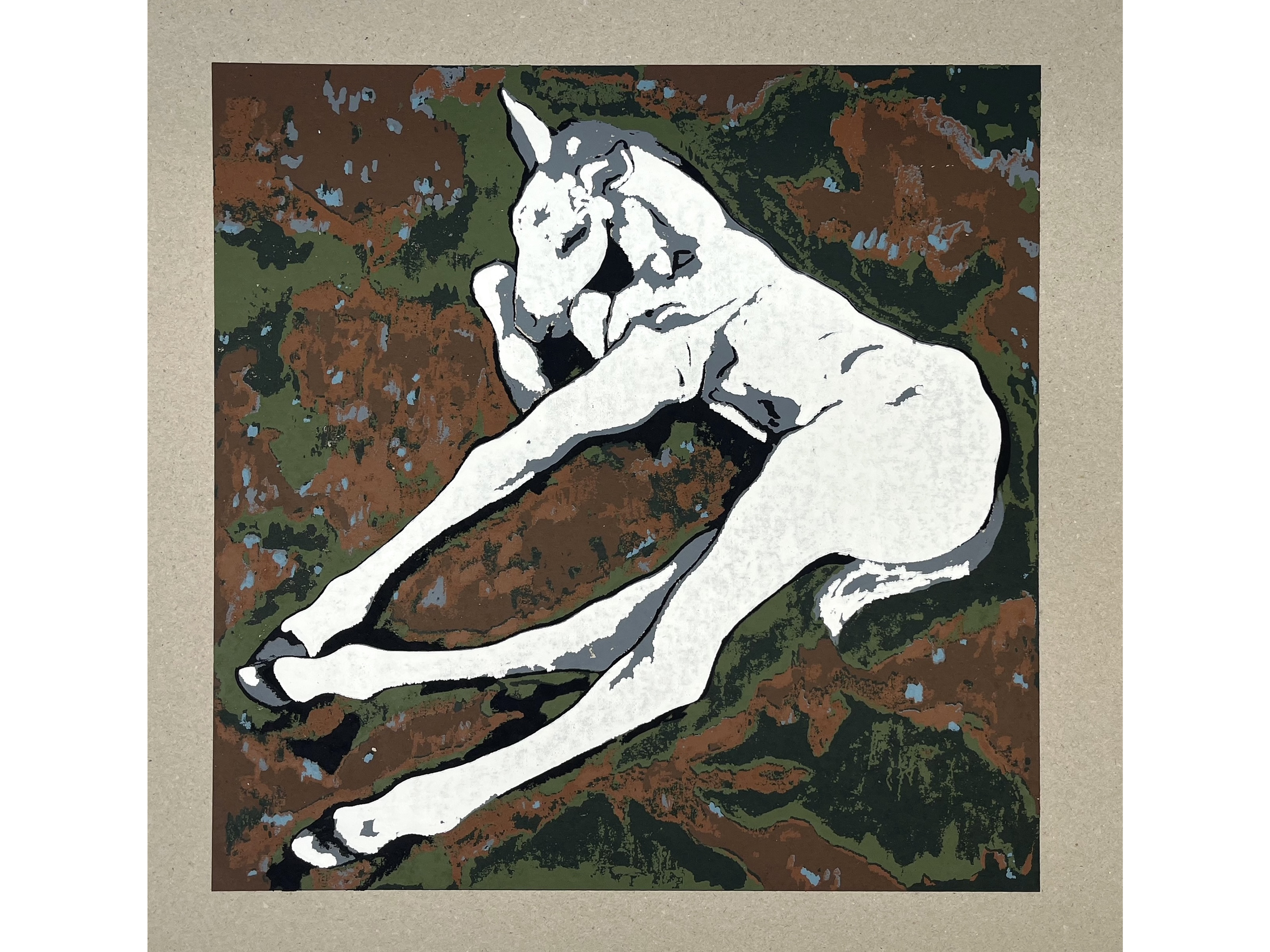Resting Foal
