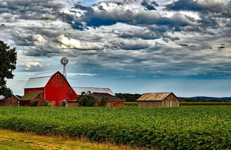 Farmland with a large red barn, smaller wooden structures, green crops, and a cloudy sky.