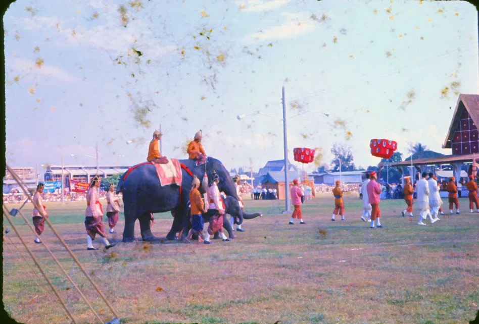 AP20 Chiang Mai Suon Dauk Presentation of white elephant 011966.jpg
