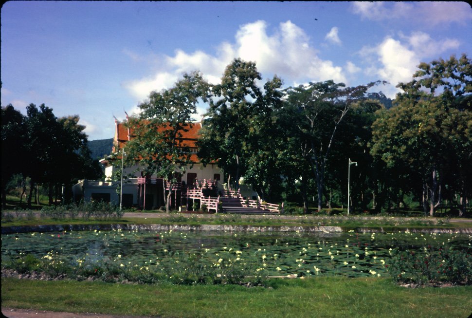 AX26 Chiang Mai University Sala Tam water lilies 11 1966.jpg