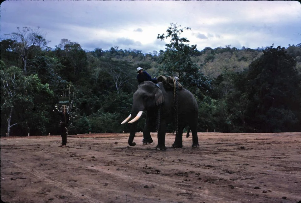 GA32 Mesai Elephants 01 1967.jpg