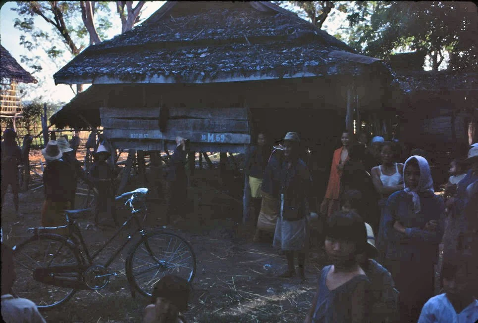 DA26 Chiang Mai village 2 headed calf 12 1966.jpg