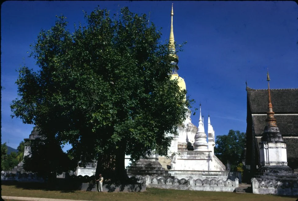DA10 Chiang Mai Wat Suon Dawk 12 1966.jpg