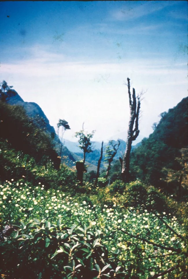 HA25a10 Chiang Dow trip view 02 1967.jpg