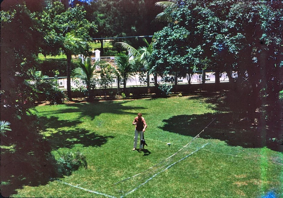 36-chiang-mai-house-garden.jpg