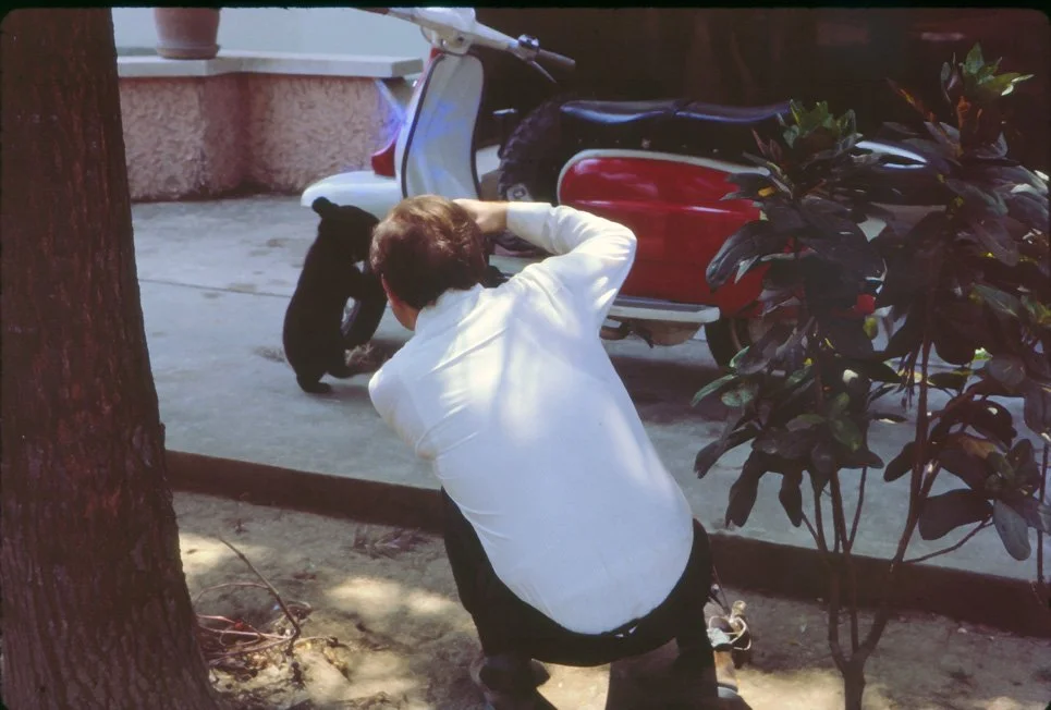 AL13 Chiang Mai Garden Bear 03 1965.jpg