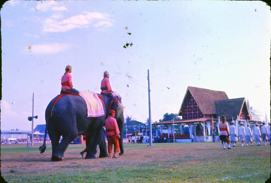 AP15 Chiang Mai Suon Dauk Presentation of white elephant 011966.jpg