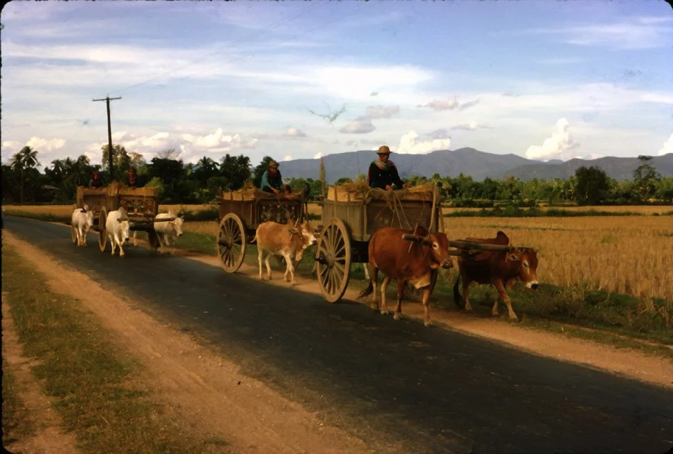 EA03 Chiang Mai Mae Jo Rice cart 12 1966.jpg