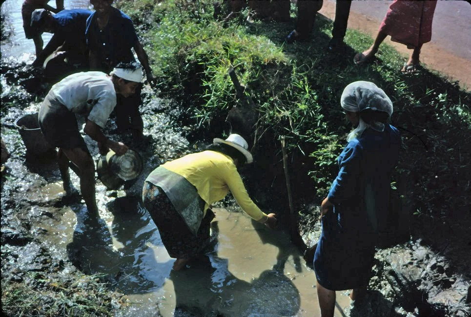 AX24 Chiang Mai Ditch fishing 11 1966.jpg