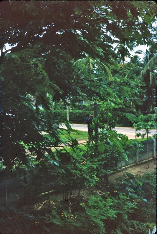 23-chiang-mai-garden-garde.jpg