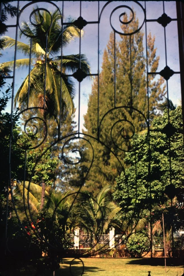 DA12 Chiang Mai garden from inside 12 1966.jpg