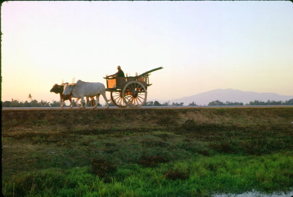 za27 Chiang Mai Rice carts 12 1969.jpg