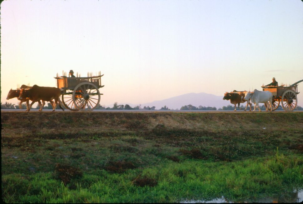za25 Chiang Mai Rice carts 12 1969.jpg