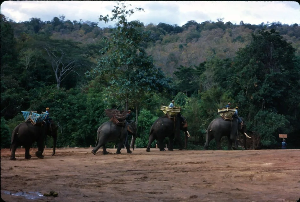 GA35 Mesai Elephants 01 1967.jpg